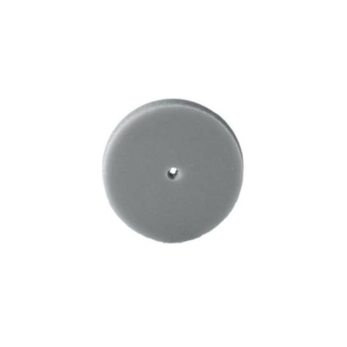 EVE Pumice Unmounted, Silver, Wheel, Fine, R22Pf